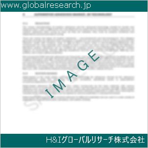グローバルリサーチ調査資料のイメージ